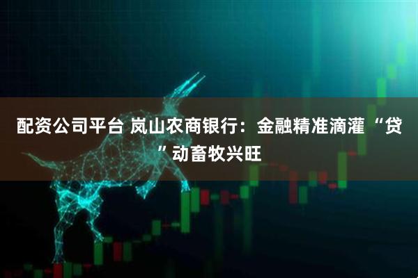 配资公司平台 岚山农商银行：金融精准滴灌 “贷”动畜牧兴旺