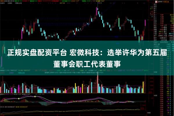 正规实盘配资平台 宏微科技：选举许华为第五届董事会职工代表董事