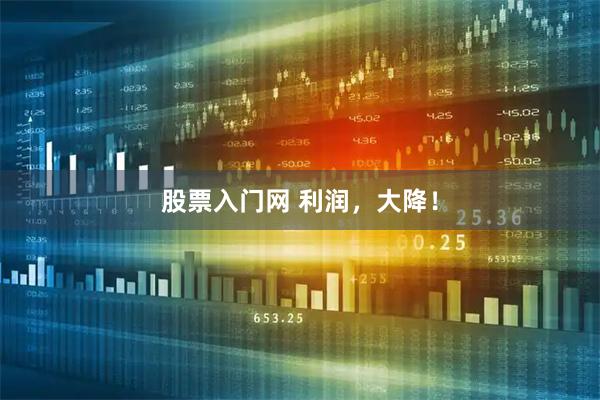 股票入门网 利润，大降！